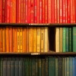 A inconstitucionalidade da obrigatoriedade do diploma de nível superior para o exercício da profissão de jornalista no Brasil